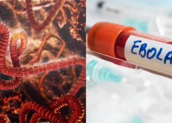 Congo Ebola outbreak 2026